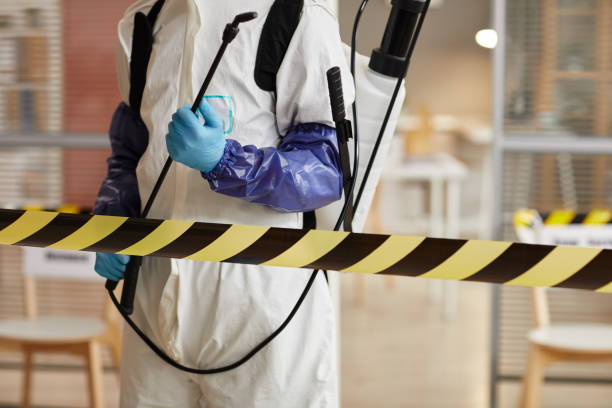 Professional Odor Removal technician working in North Lawrence, OH